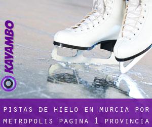 Pistas de hielo en Murcia por metropolis - página 1 (Provincia)