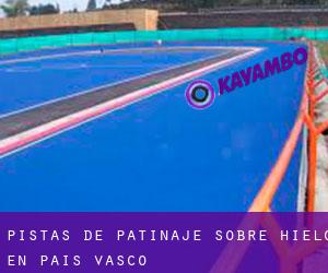 Pistas de Patinaje sobre hielo en País Vasco