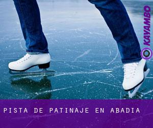 Pista de Patinaje en Abadía