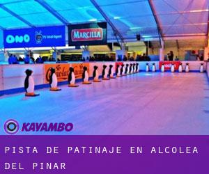 Pista de Patinaje en Alcolea del Pinar