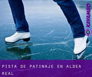 Pista de Patinaje en Aldea Real