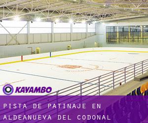 Pista de Patinaje en Aldeanueva del Codonal Pista de Patinaje en Aldeanueva del Codonal