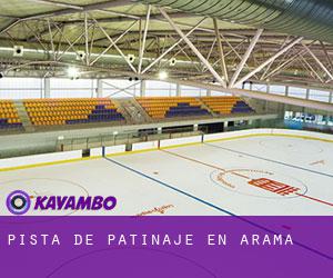 Pista de Patinaje en Arama Pista de Patinaje en Arama