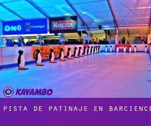 Pista de Patinaje en Barcience Pista de Patinaje en Barcience