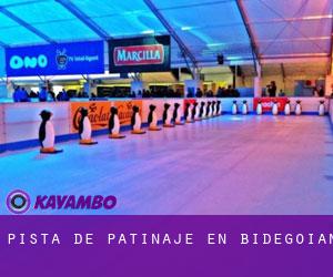 Pista de Patinaje en Bidegoian Pista de Patinaje en Bidegoian