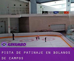 Pista de Patinaje en Bolaños de Campos