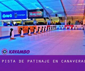 Pista de Patinaje en Cañaveral Pista de Patinaje en Cañaveral