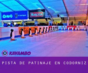 Pista de Patinaje en Codorniz Pista de Patinaje en Codorniz