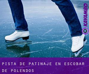 Pista de Patinaje en Escobar de Polendos