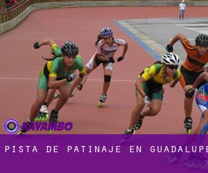 Pista de Patinaje en Guadalupe