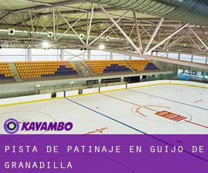 Pista de Patinaje en Guijo de Granadilla Pista de Patinaje en Guijo de Granadilla