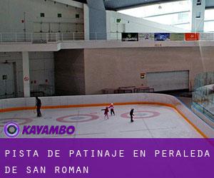 Pista de Patinaje en Peraleda de San Román Pista de Patinaje en Peraleda de San Román