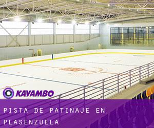 Pista de Patinaje en Plasenzuela Pista de Patinaje en Plasenzuela