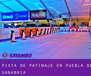 Pista de Patinaje en Puebla de Sanabria