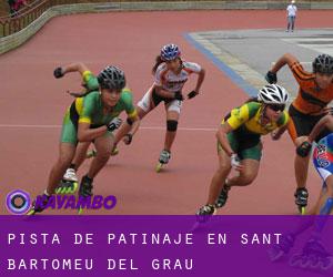 Pista de Patinaje en Sant Bartomeu del Grau Pista de Patinaje en Sant Bartomeu del Grau