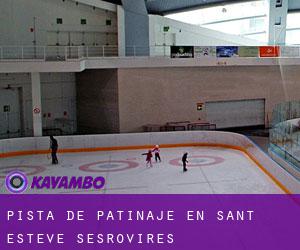 Pista de Patinaje en Sant Esteve Sesrovires Pista de Patinaje en Sant Esteve Sesrovires