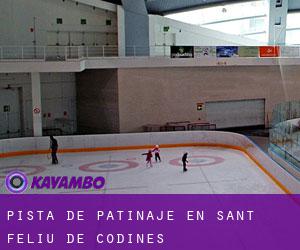 Pista de Patinaje en Sant Feliu de Codines Pista de Patinaje en Sant Feliu de Codines
