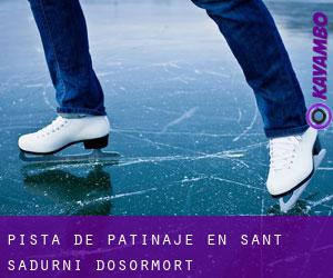 Pista de Patinaje en Sant Sadurní d'Osormort Pista de Patinaje en Sant Sadurní d'Osormort