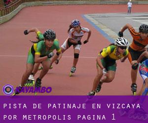 Pista de Patinaje en Vizcaya por metropolis - página 1