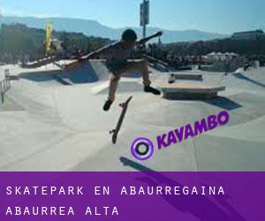 Skatepark en Abaurregaina / Abaurrea Alta