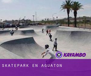 Skatepark en Aguatón
