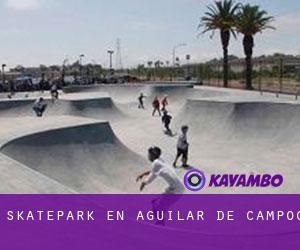 Skatepark en Aguilar de Campóo