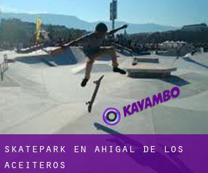 Skatepark en Ahigal de los Aceiteros