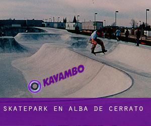 Skatepark en Alba de Cerrato