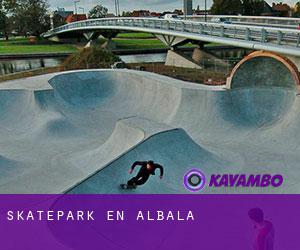Skatepark en Albalá