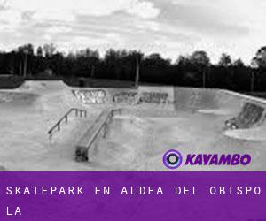 Skatepark en Aldea del Obispo (La)