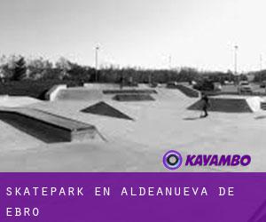 Skatepark en Aldeanueva de Ebro