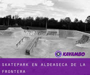 Skatepark en Aldeaseca de la Frontera