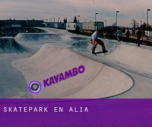 Skatepark en Alía Skatepark en Alía