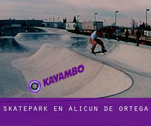 Skatepark en Alicún de Ortega