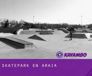 Skatepark en Araia