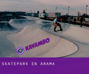 Skatepark en Arama Skatepark en Arama