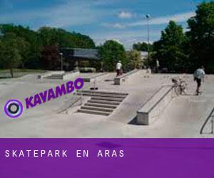 Skatepark en Aras