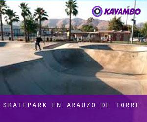 Skatepark en Arauzo de Torre