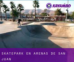 Skatepark en Arenas de San Juan