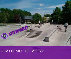 Skatepark en Ariño