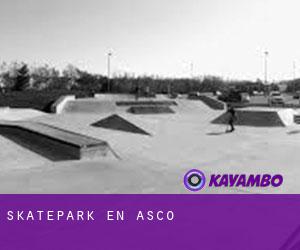 Skatepark en Ascó