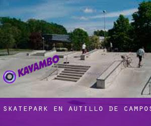Skatepark en Autillo de Campos