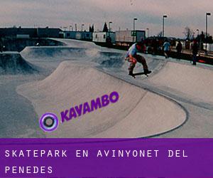 Skatepark en Avinyonet del Penedès