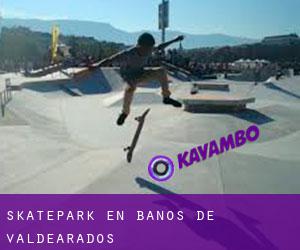 Skatepark en Baños de Valdearados