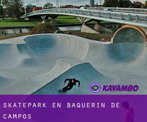 Skatepark en Baquerín de Campos