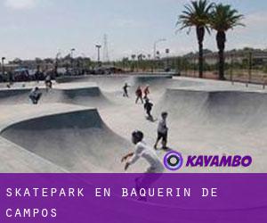 Skatepark en Baquerín de Campos