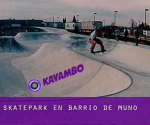 Skatepark en Barrio de Muñó