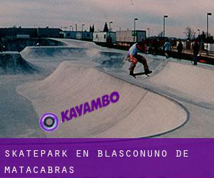 Skatepark en Blasconuño de Matacabras