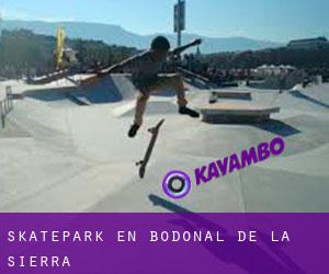 Skatepark en Bodonal de la Sierra