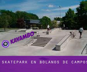 Skatepark en Bolaños de Campos Skatepark en Bolaños de Campos